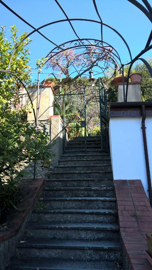 La Depandance Della Nonna Daire Camogli Dış mekan fotoğraf